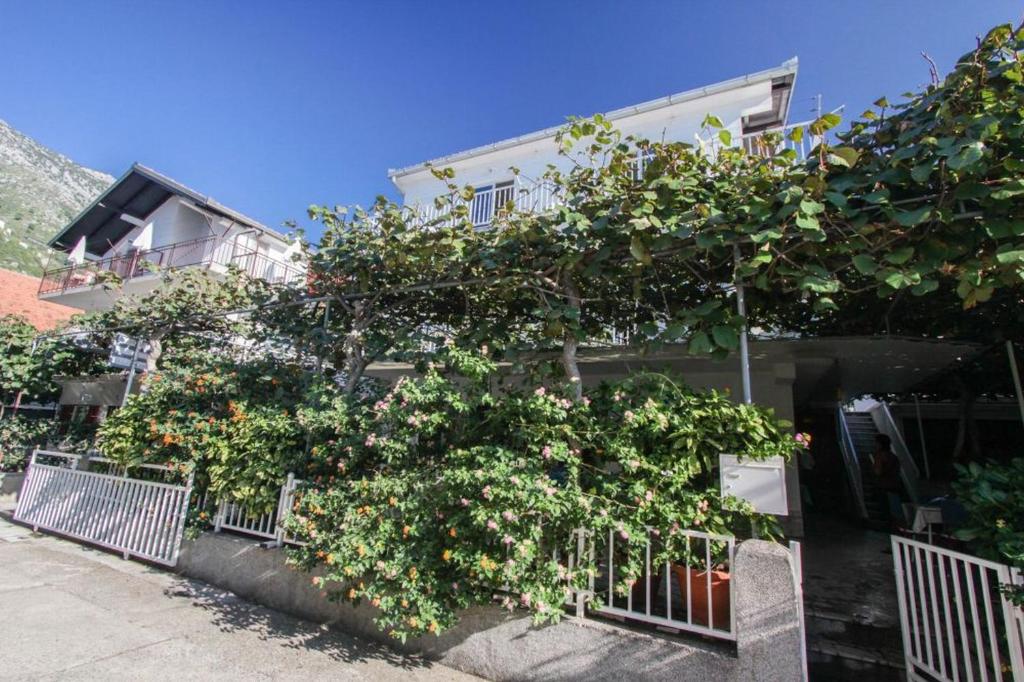 Apartments Ruzinka photo 2