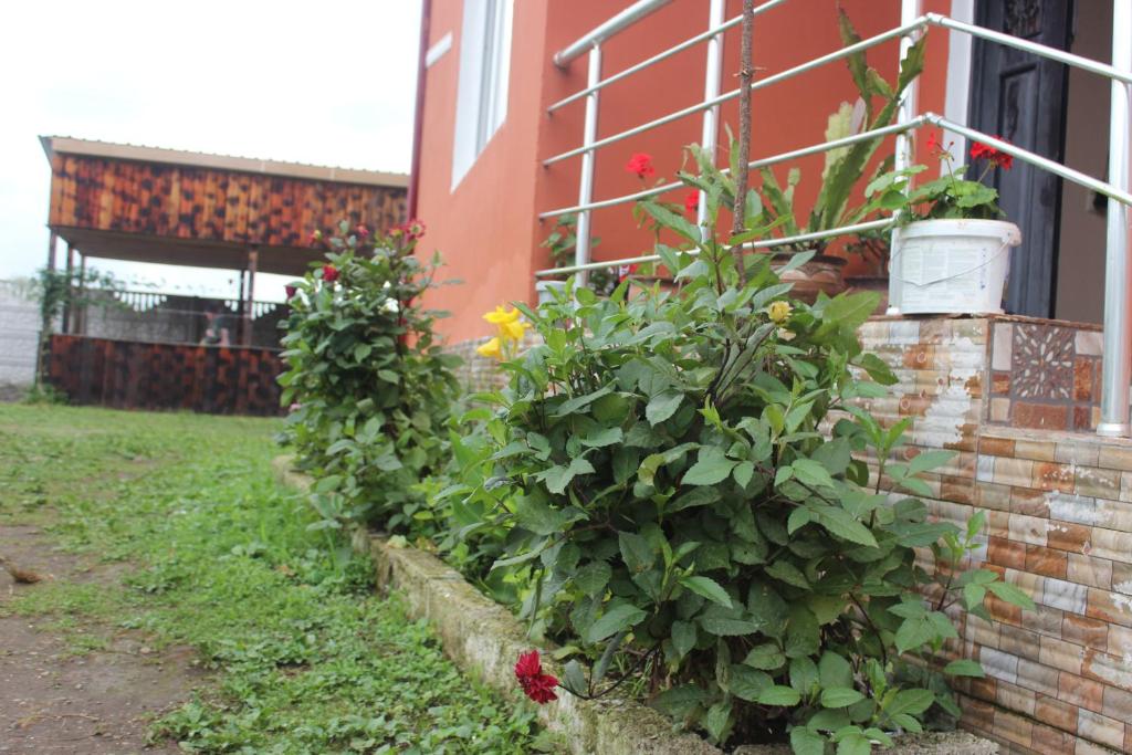 Hotel Ureki photo 3