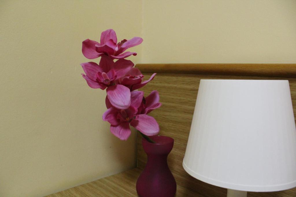 Hotel Diana photo 4