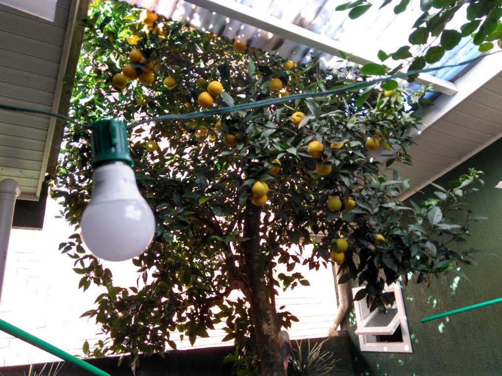 Hospedagem Da Laranjeira Gramado photo 2