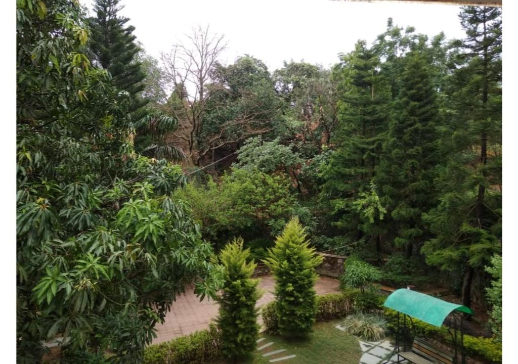 The Raj Villas photo 1