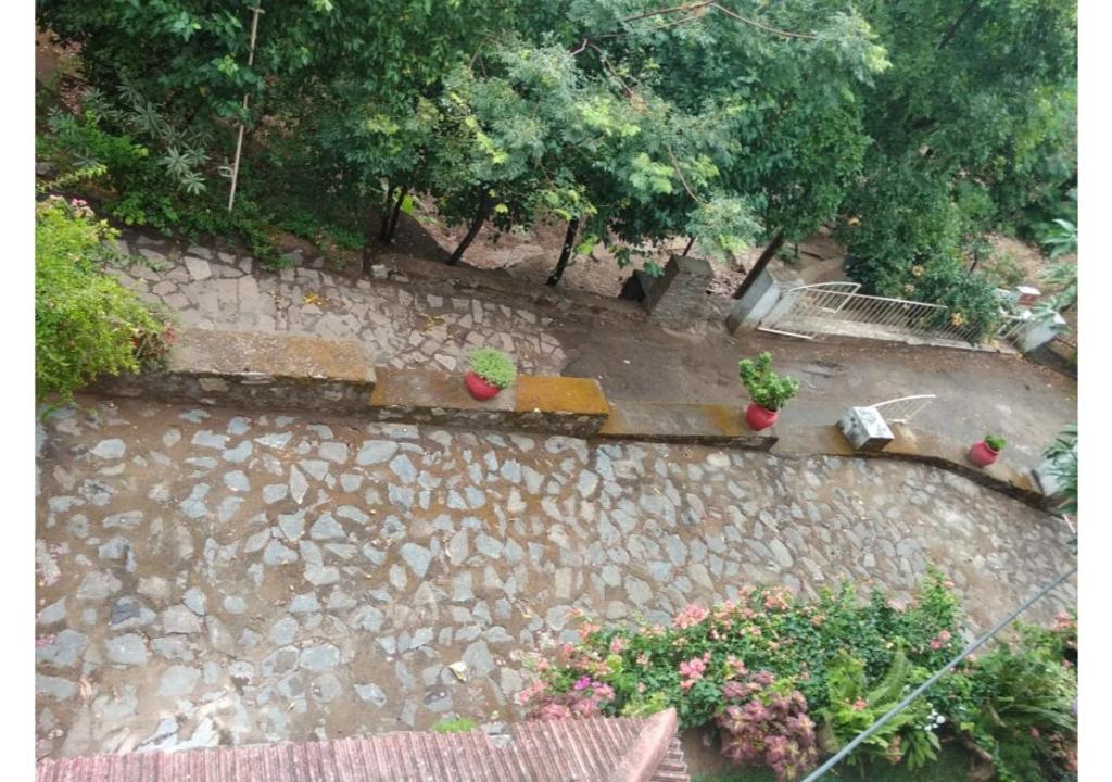 The Raj Villas photo 3