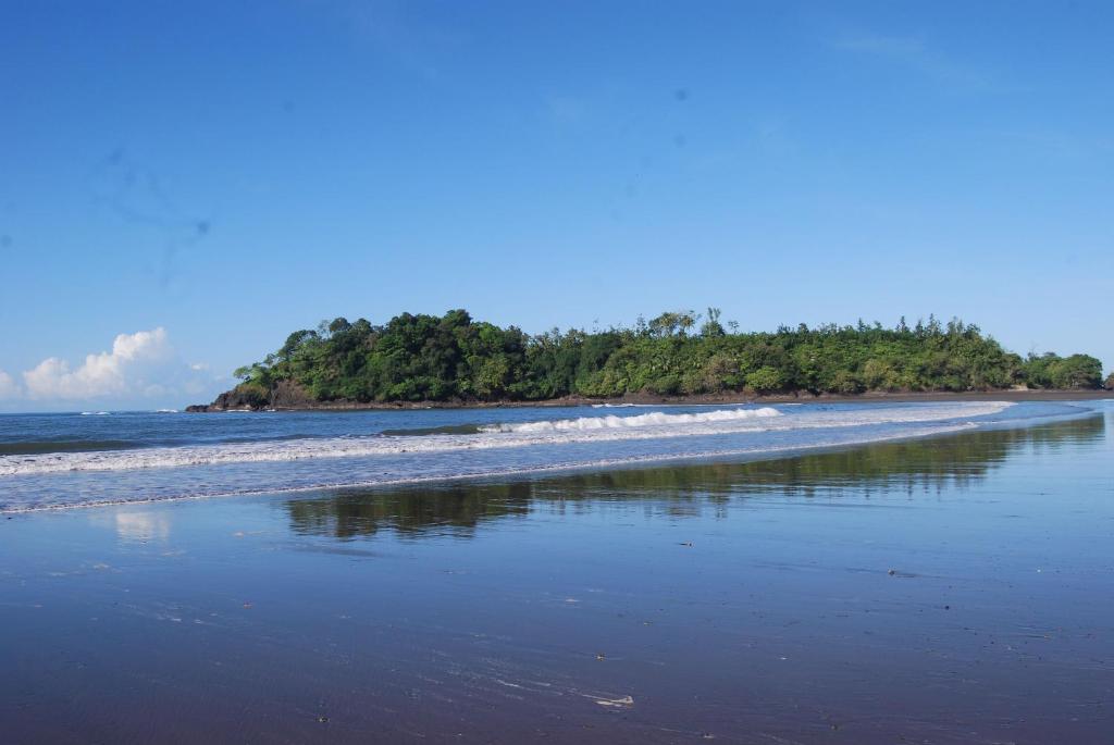 El nido del tucán photo 2