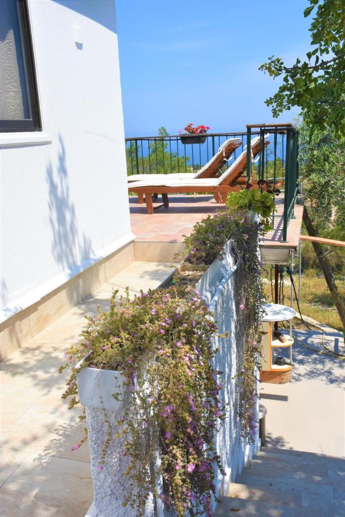 Philip's Holiday House photo 4