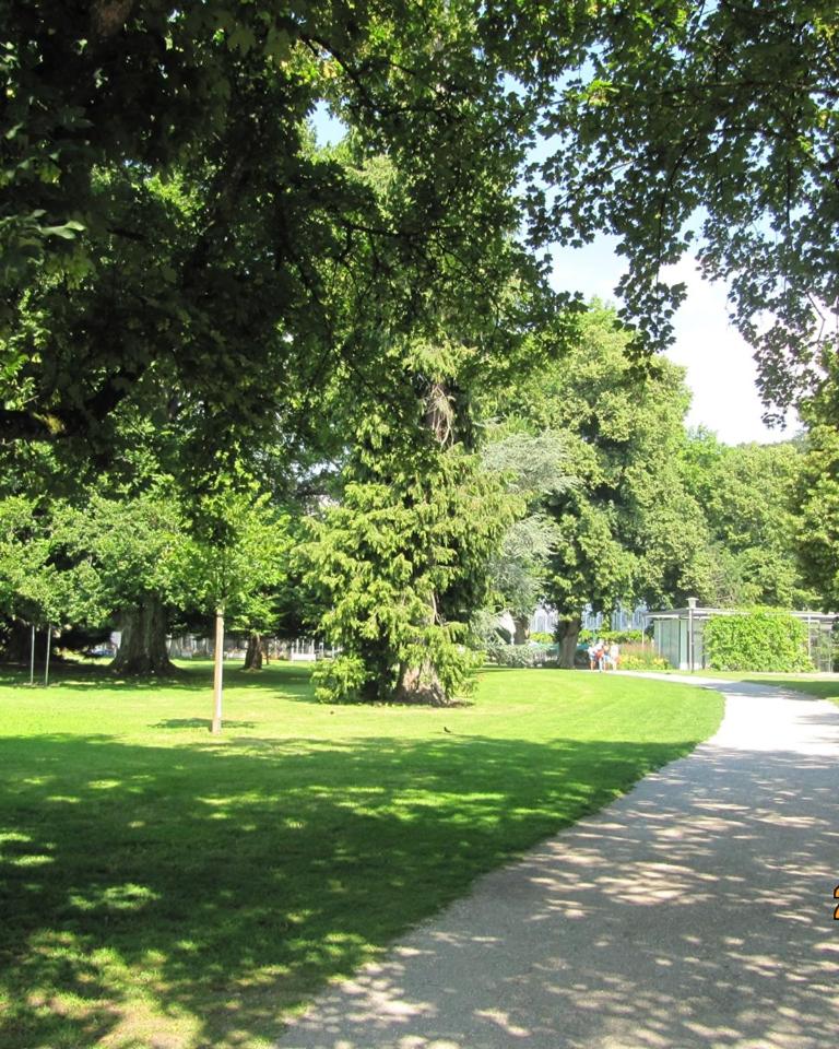 K-Hotel (Grüner Baum) photo 4