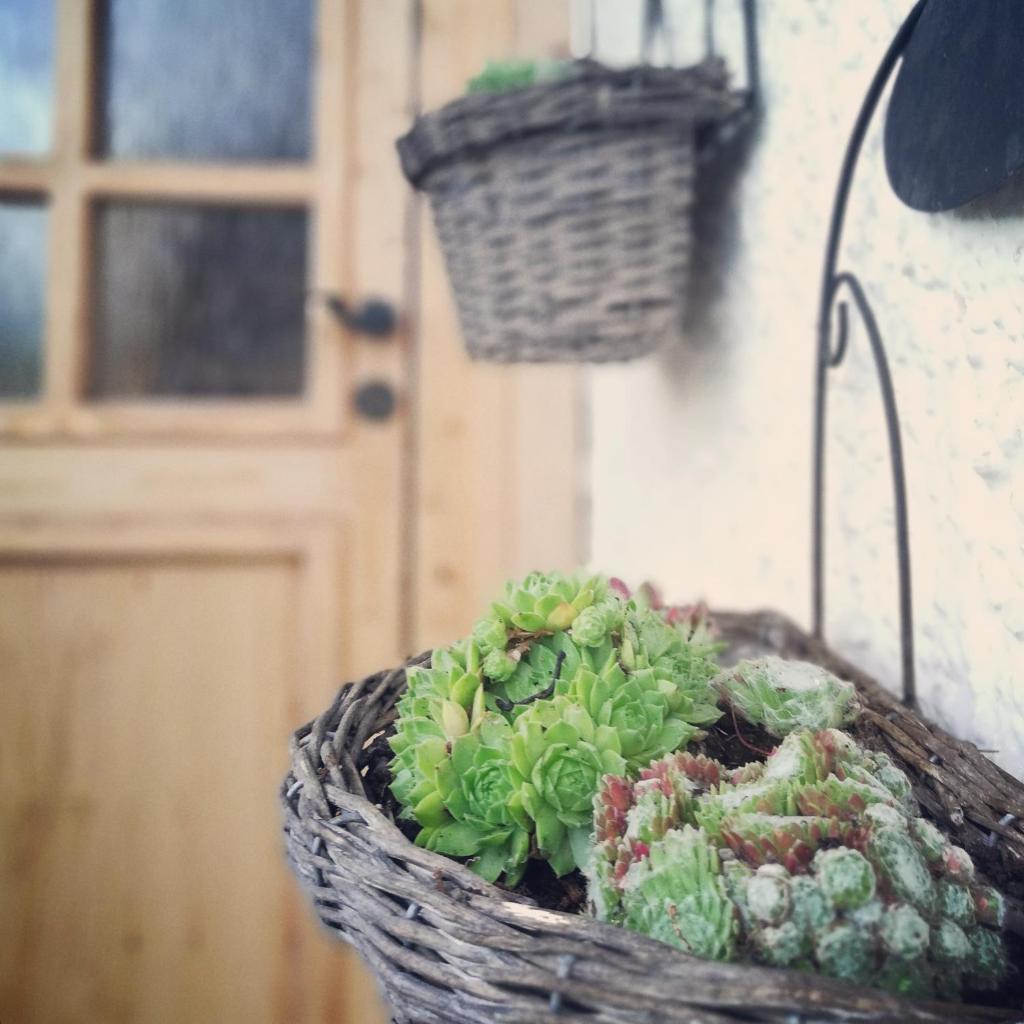 Ferienhaus in der Schlipfing mit Garten photo 2