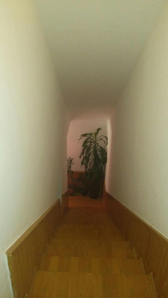 Apartman Daris&Emma photo 1