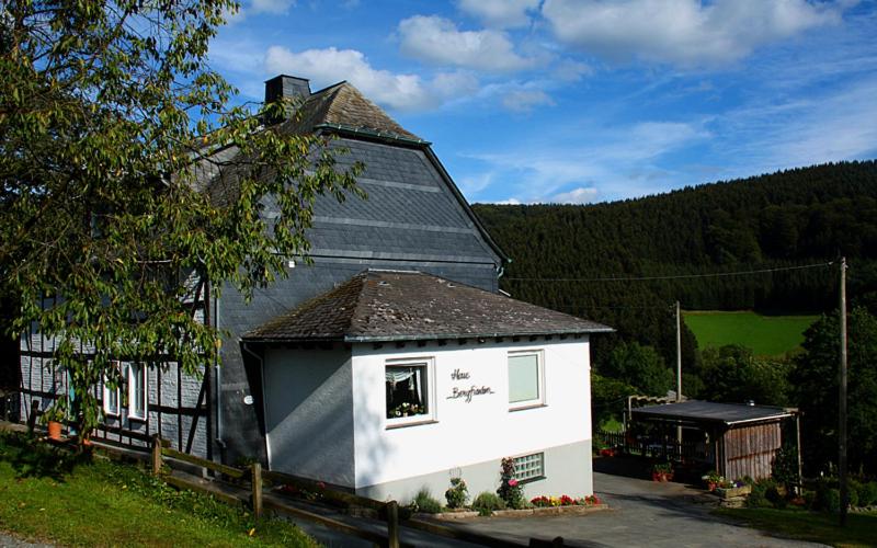Pension Bergfrieden photo 1