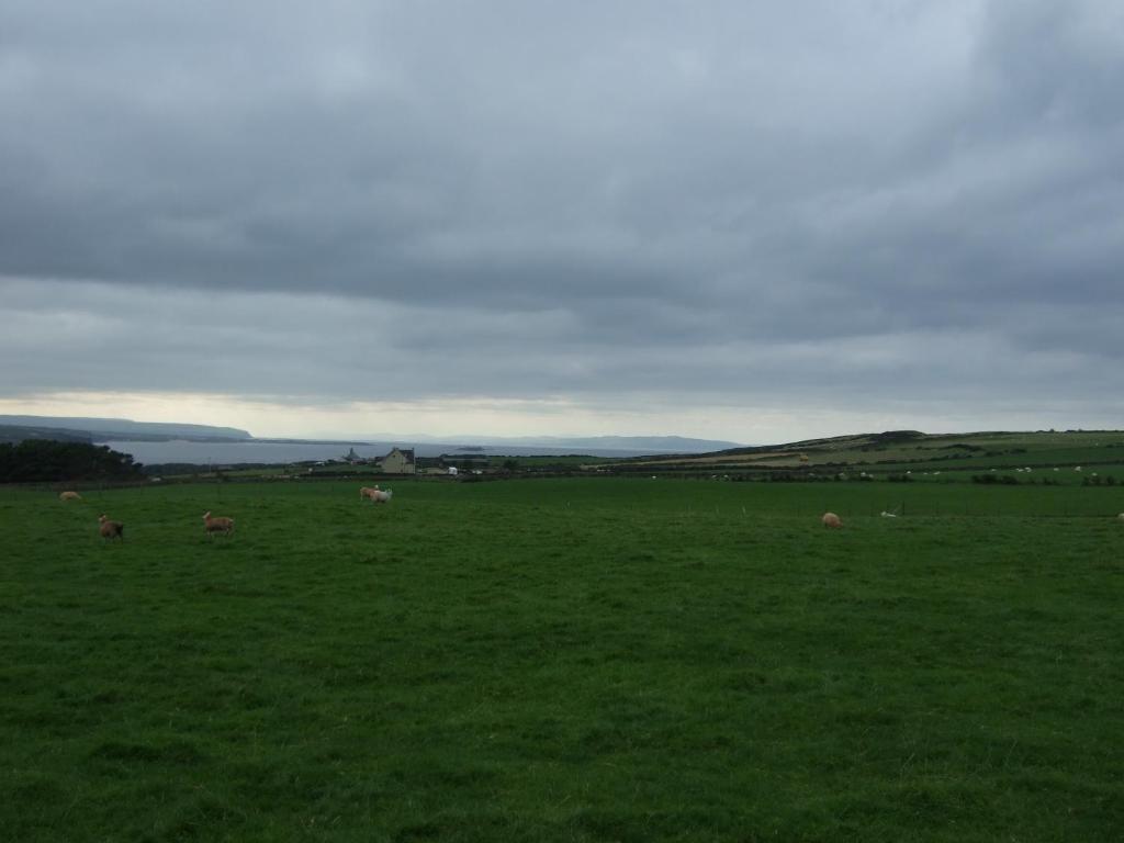 Aird Cottage photo 2