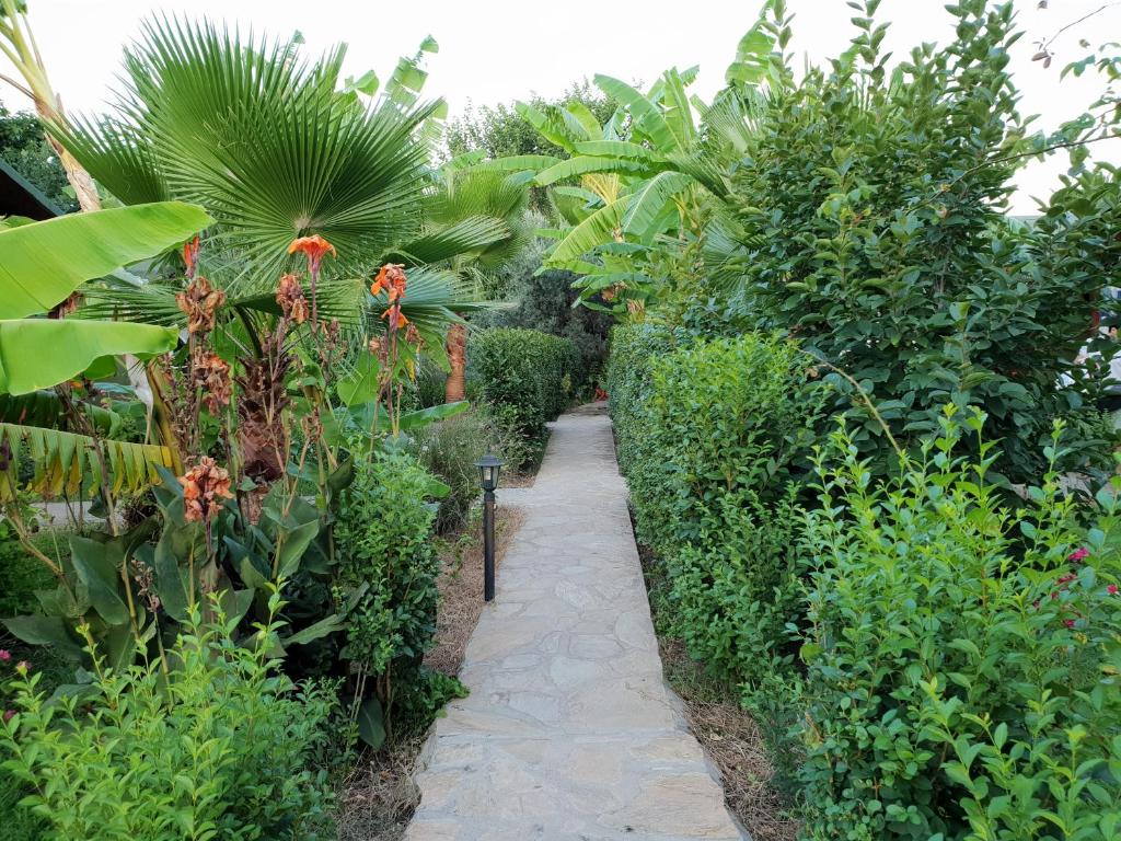 Estelar Bungalow photo 1