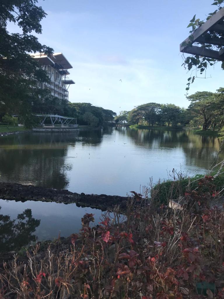 ADC Condo 1 Bedroom Unit at Pico de Loro photo 4
