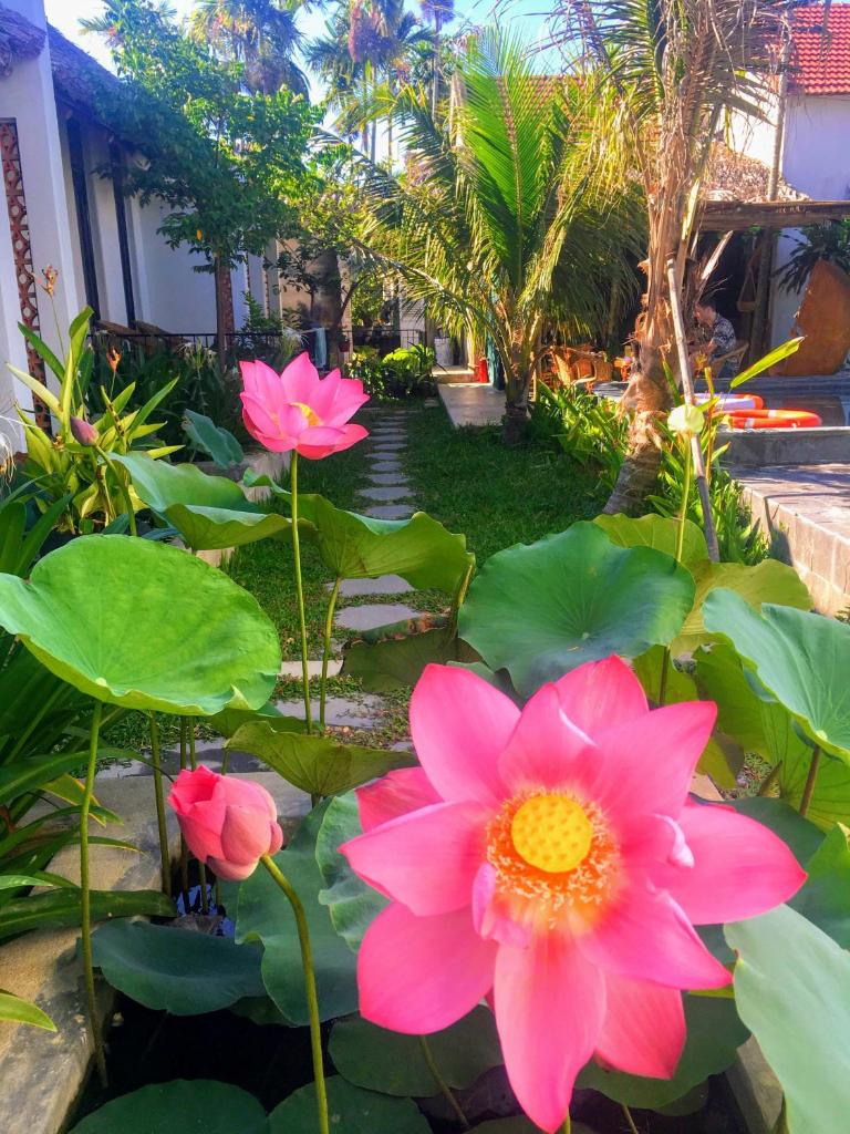 Home Farm Villa Hoi An