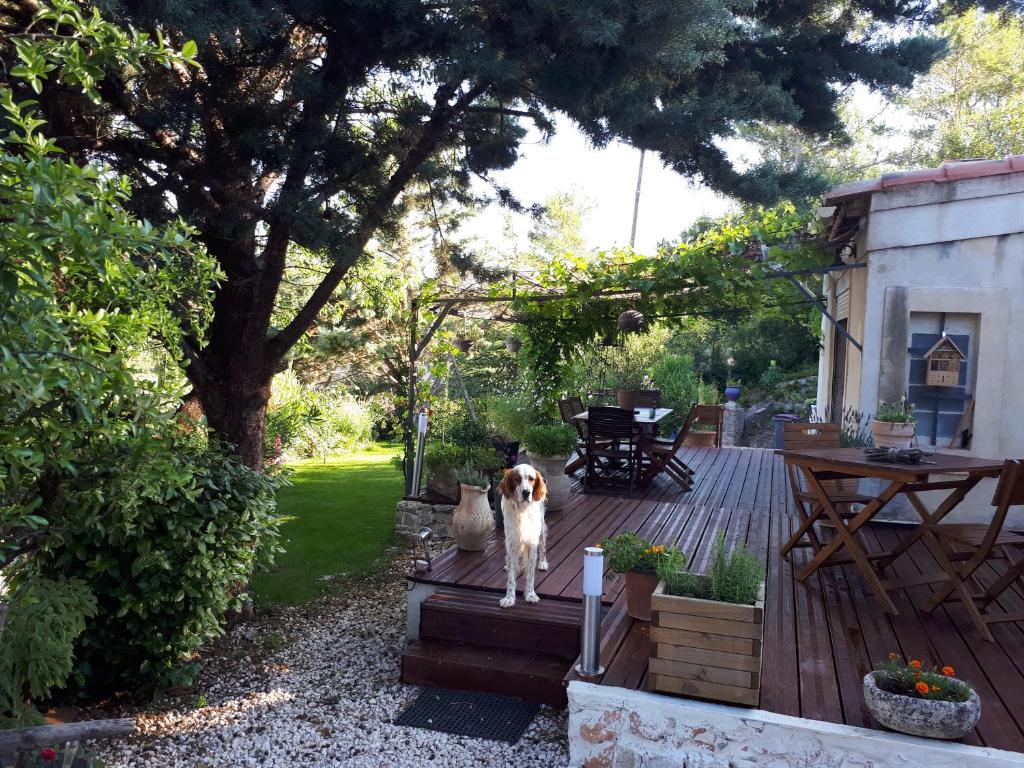 Chez Patricia & Denis photo 1