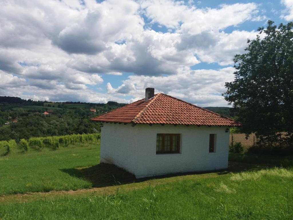 Apartmani Vinogradi photo 3