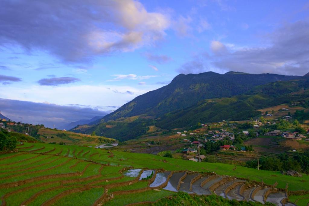 Hoa's homestay Sapa