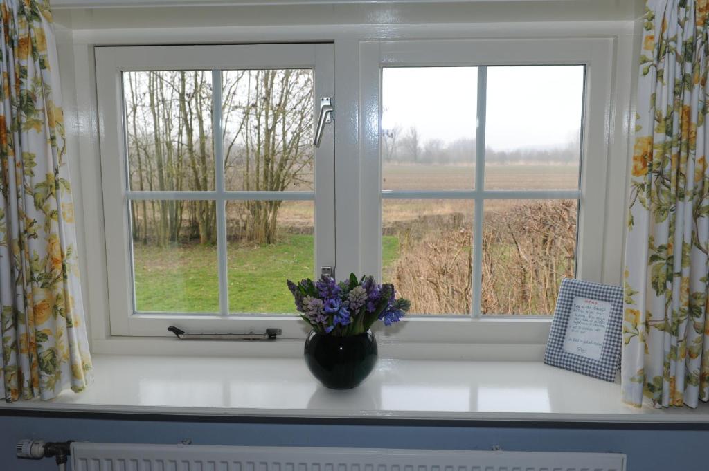 Bed & Breakfast de Neust photo 1