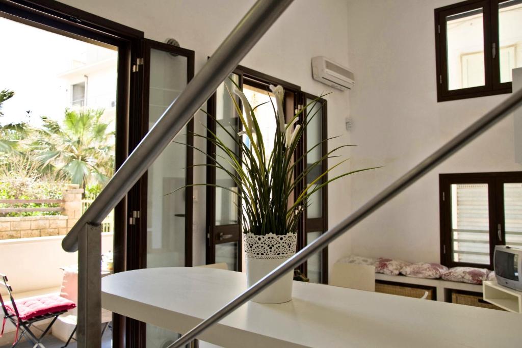 Lido Apartment photo 2