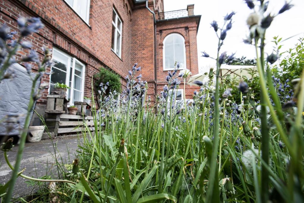 Ny Kirstineberg Gods Bed & Breakfast photo 4