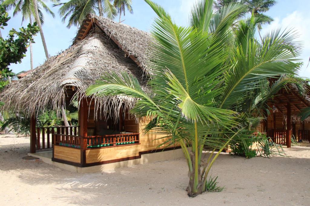 Shiva's Beach Cabanas photo 3