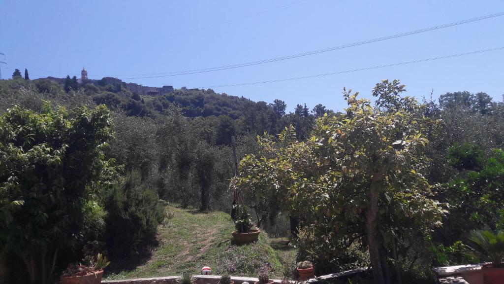 Il colle di Abramo casa vacanze Enrica photo 2