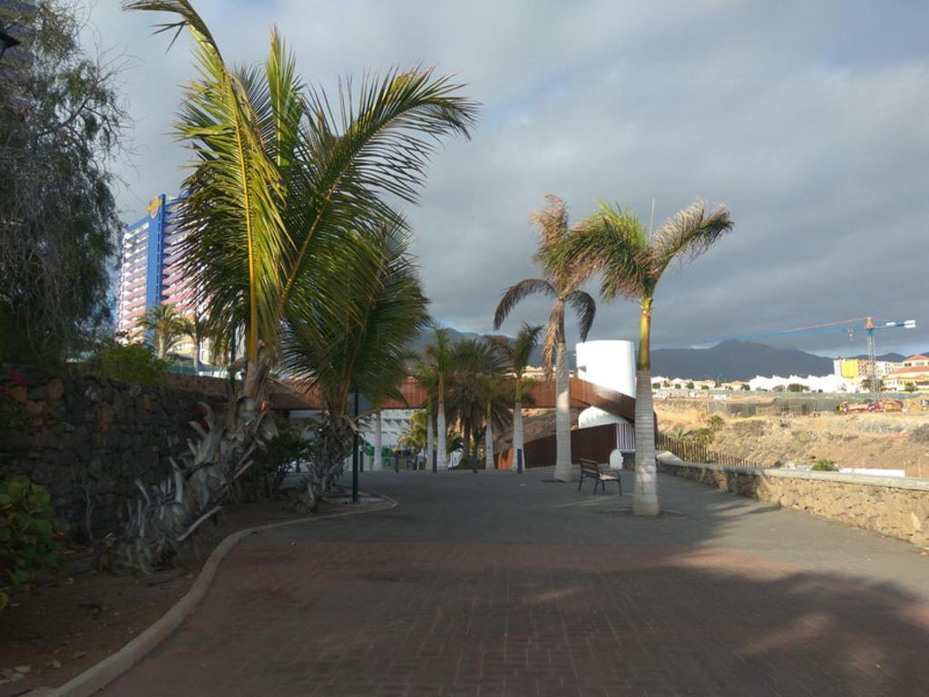 Studio Playa Paraiso Tenerife - ocean view and internet wifi optical fiber - for rent photo 1