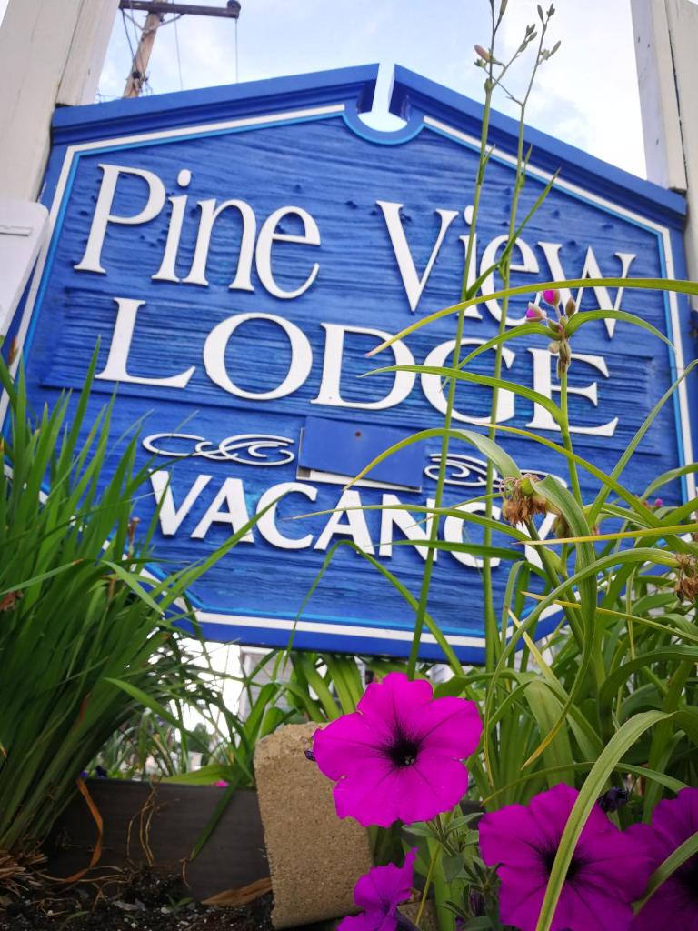 Pine View Lodge image