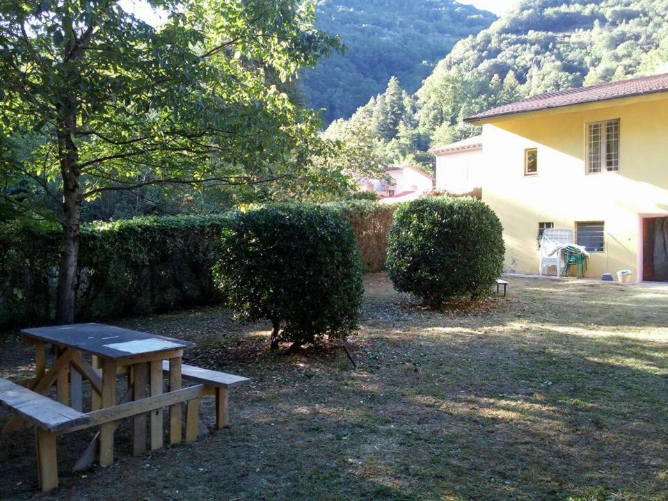 Casolare Puccini photo 1