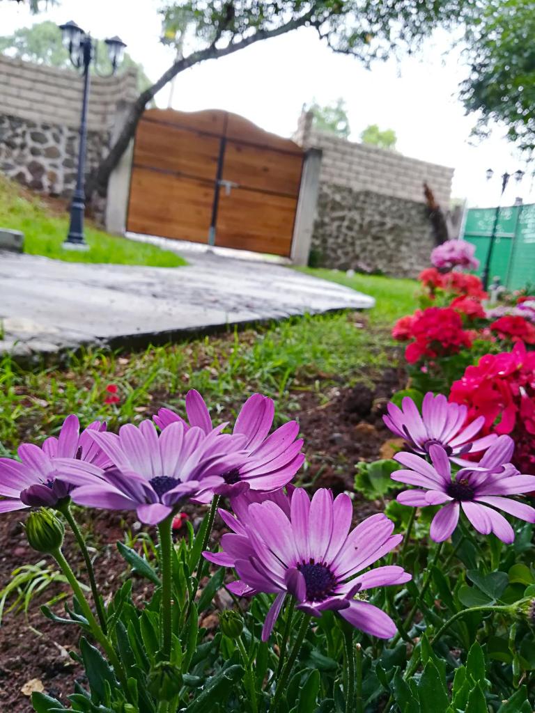 La Mora Casa de Campo photo 2