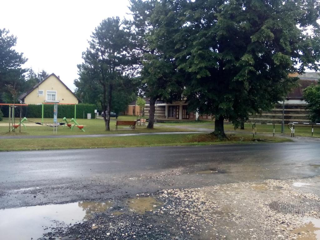 Adikati Lak photo 3