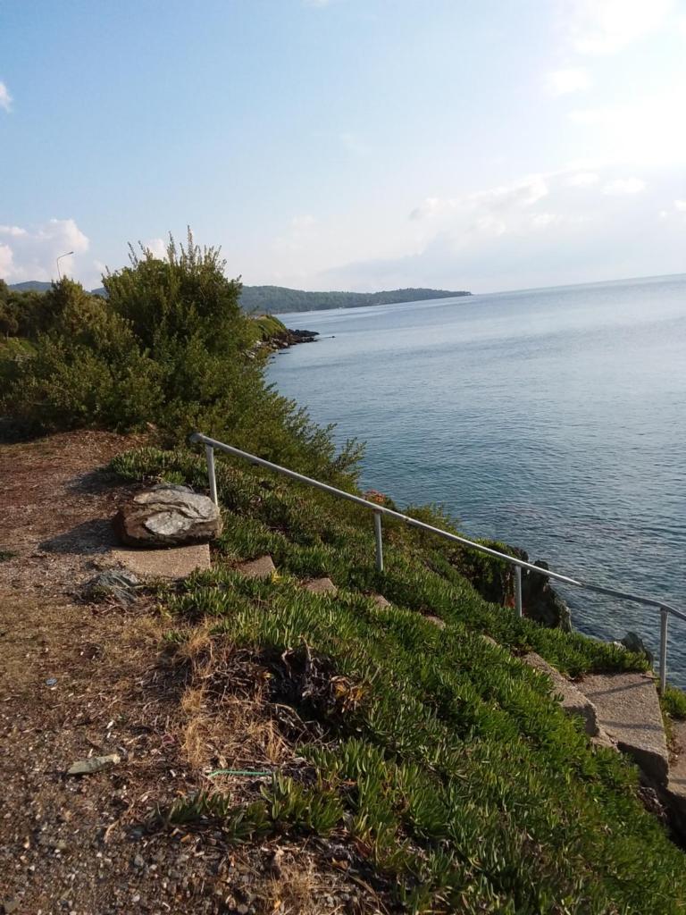 Ntelis Home photo 1
