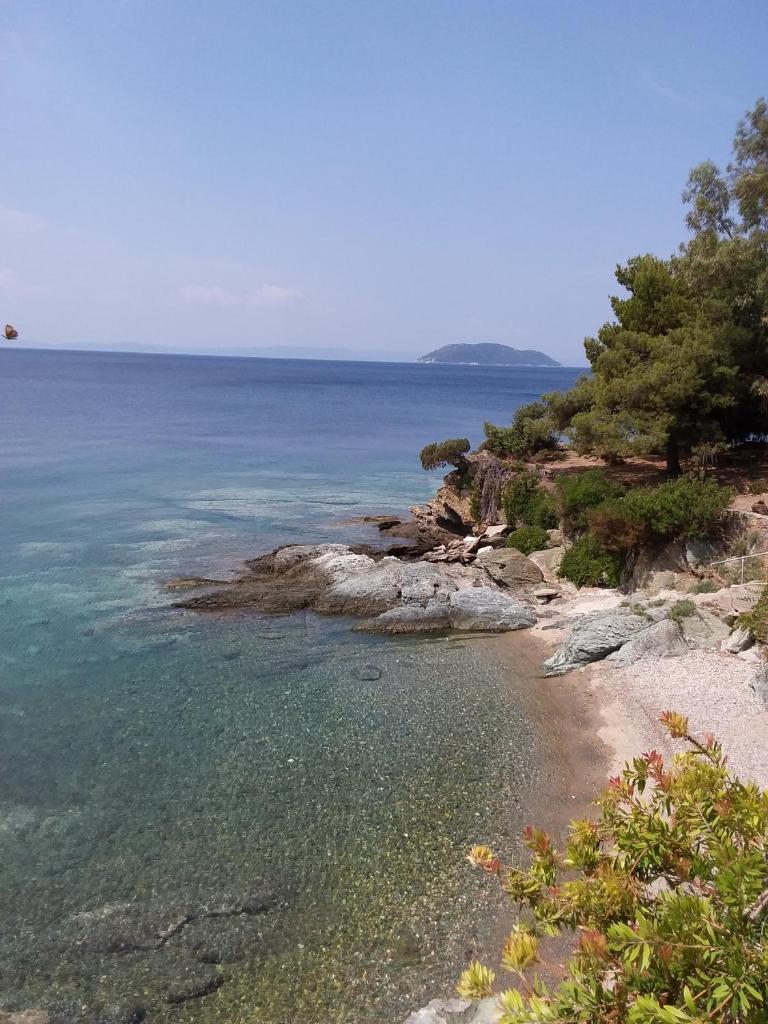 Ntelis Home photo 3