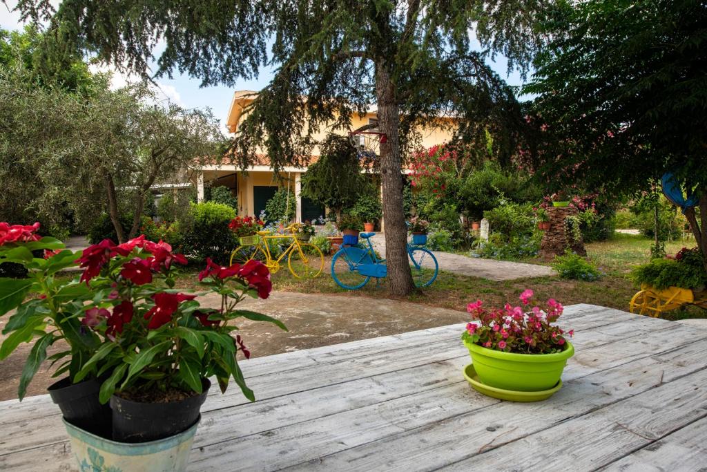 B&B Da Marcella photo 2