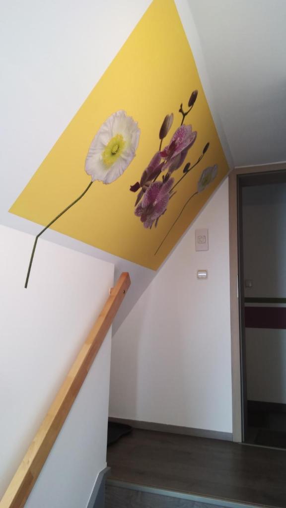 Spira House photo 3
