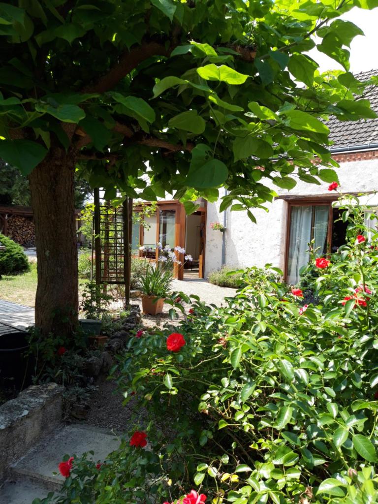 L'Orme Seul, Maison d'hôtes photo 4
