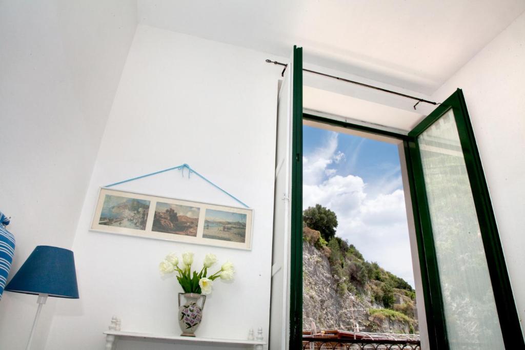 Brasca Amalfi Rosa Canina photo 1