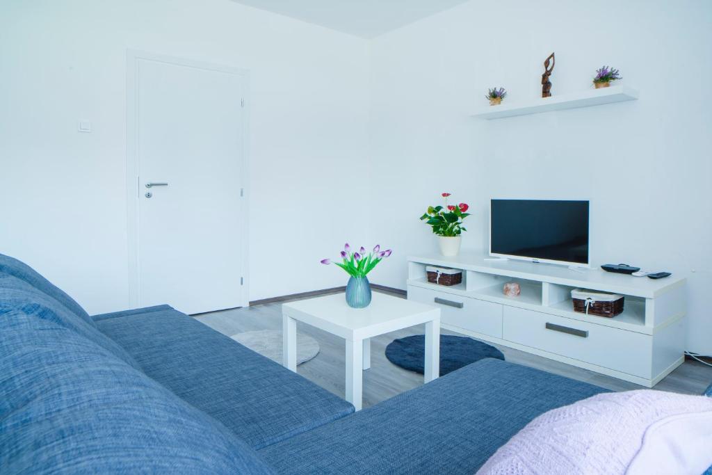 Apartman Višnja photo 3