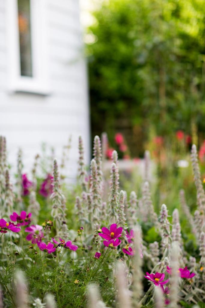 Coghill Cottage photo 2