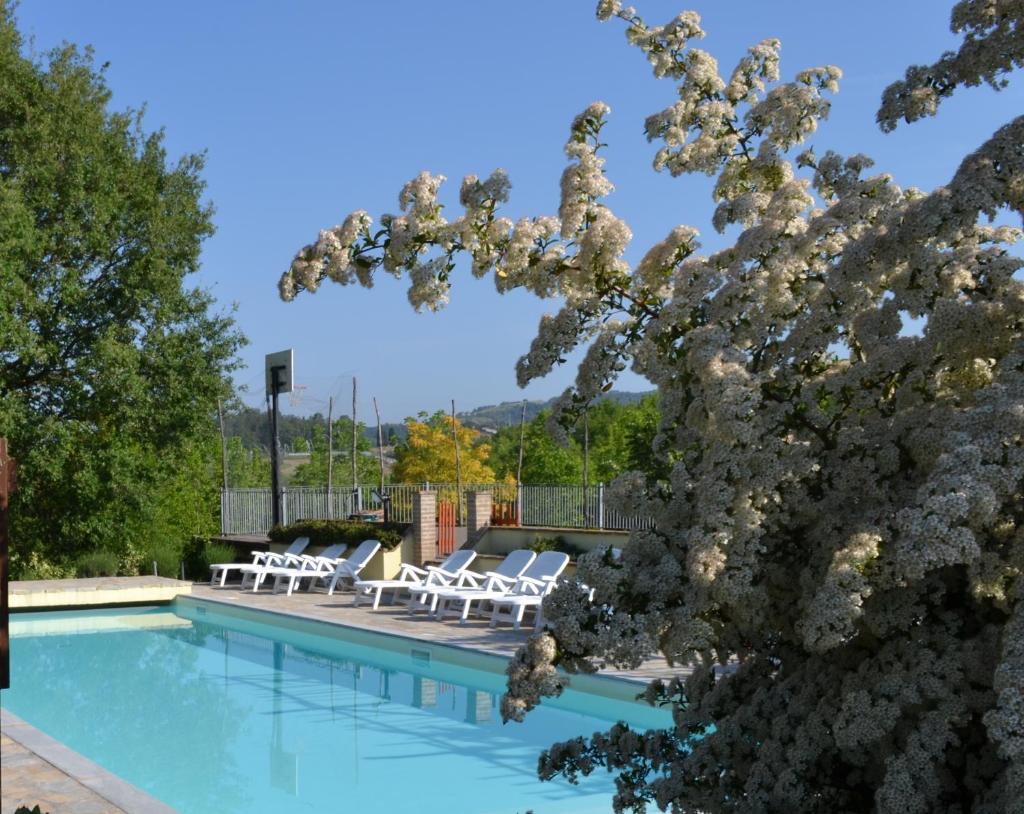 Agriturismo Collina Dei Fagiani photo 2