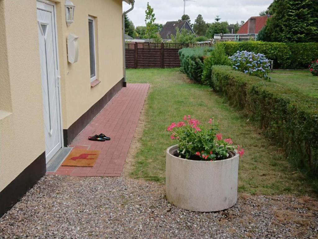 Zur alten Schmiede photo 1