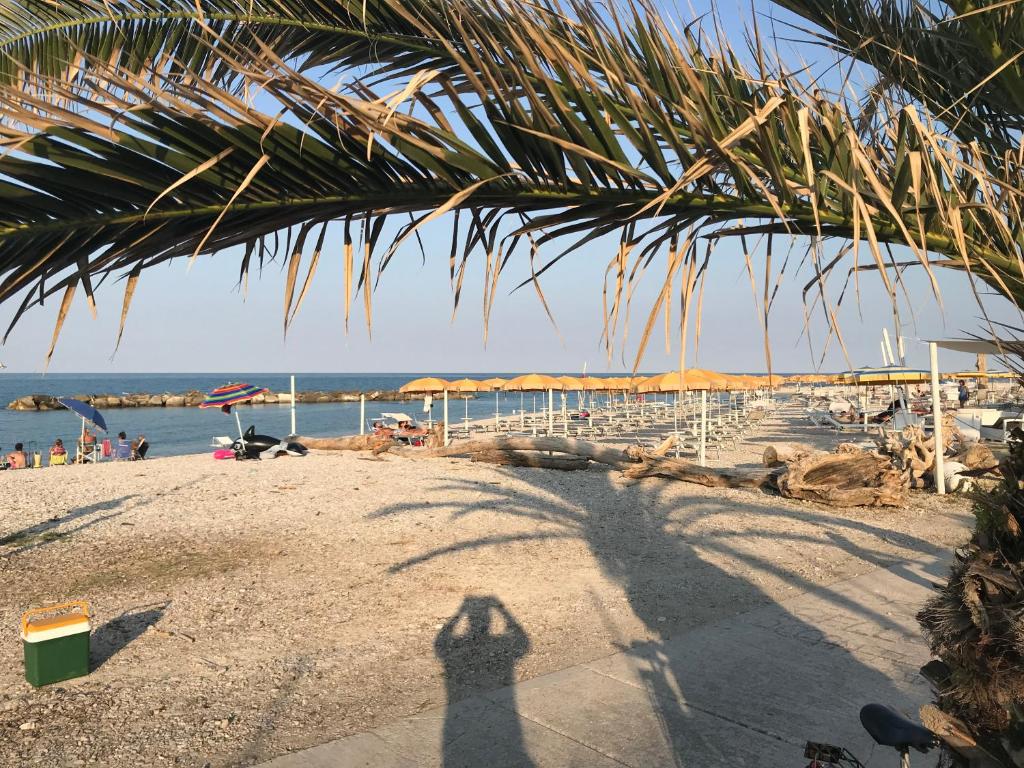 Mansarda Mare photo 3