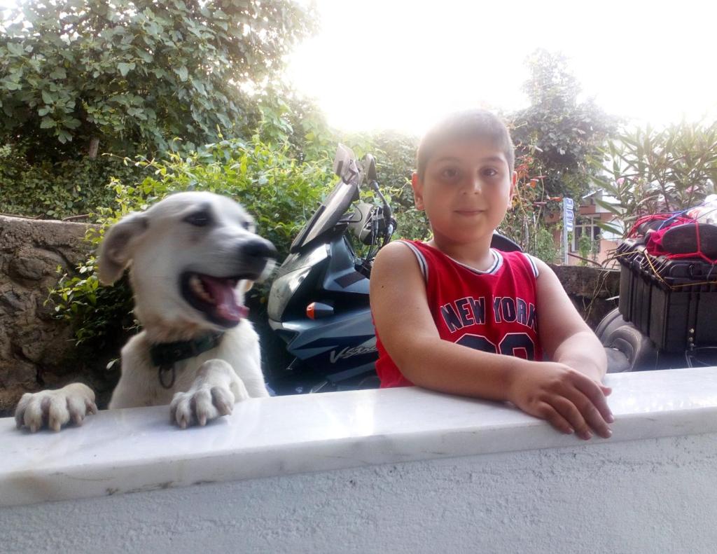 Ekolojik Güney Köy Pembe Köşk photo 3