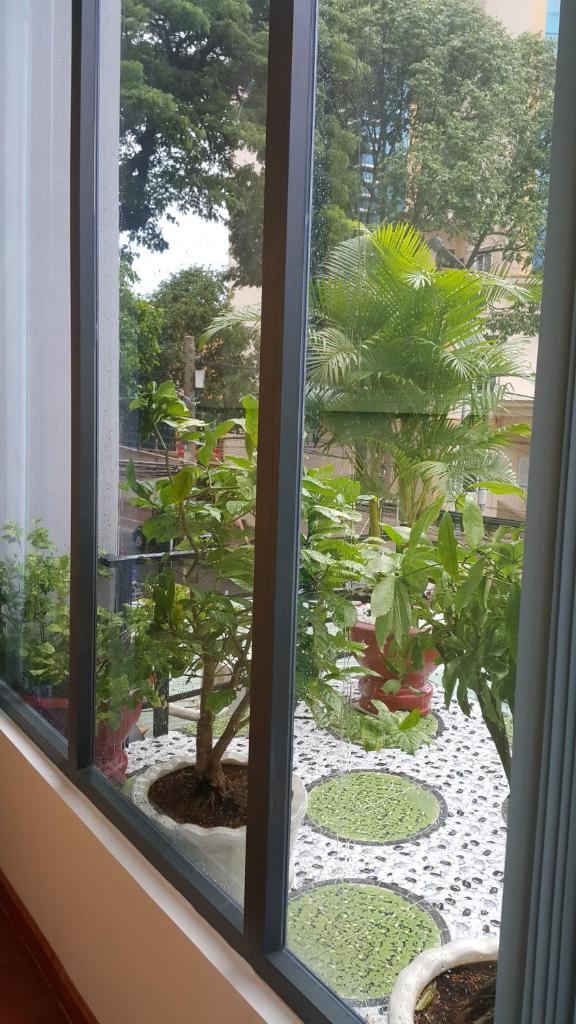 Tomorrow Hostel Vũng Tàu