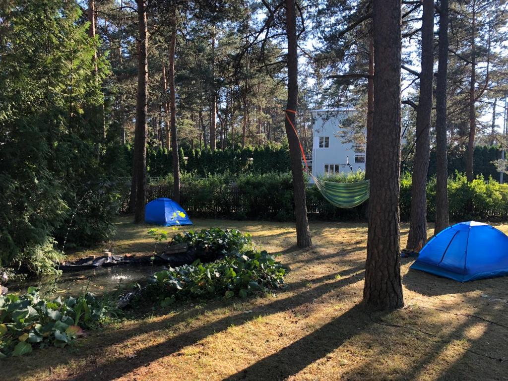 Номер (Шатер), Freedom65 Hostel and Caravan