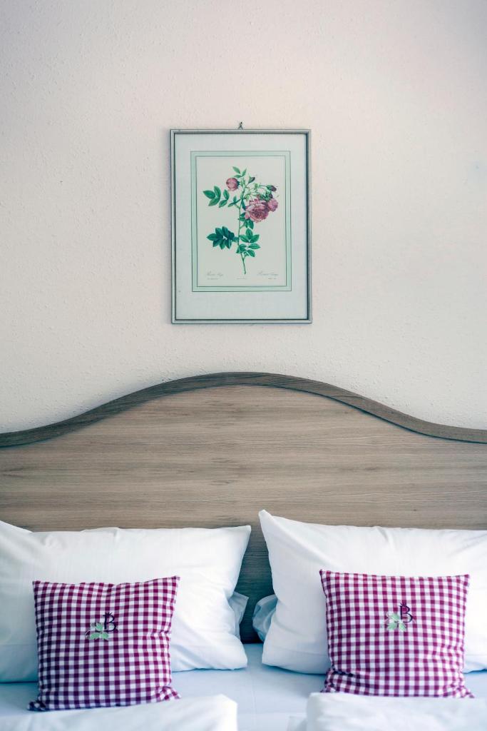 Hotel Bachmair Alpina photo 1