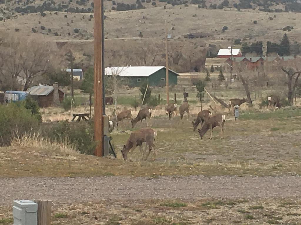 South Fork Lodge & RV Park Colorado photo 2