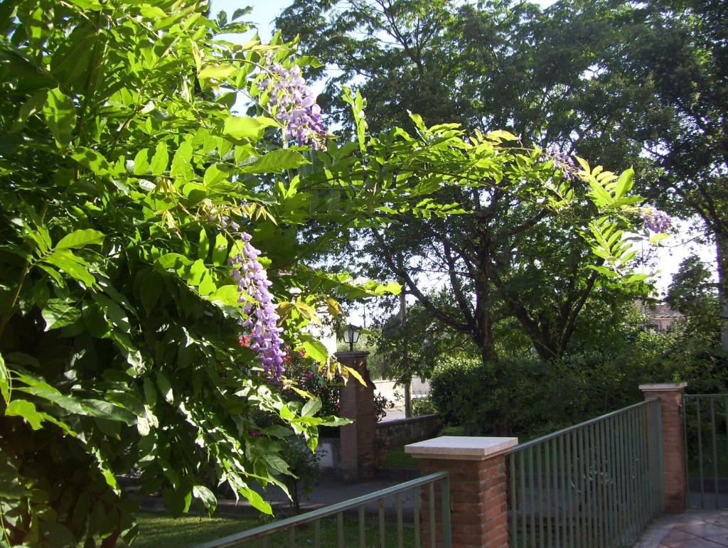 Hotel Del Sole photo 4