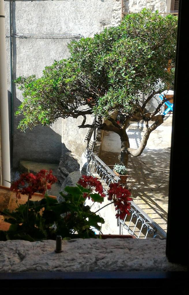 Casa Vacanze del Borgo photo 2