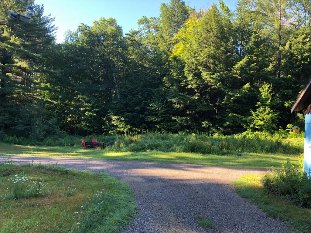 Country Living photo 1