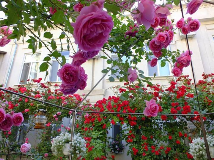 Residenza Dutzu-Boutique Hotel photo 1