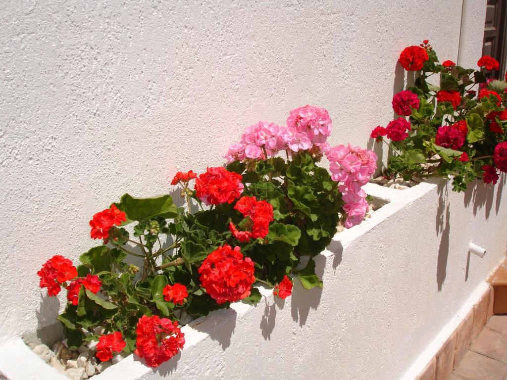 Rinconada Real - Zand Properties photo 4